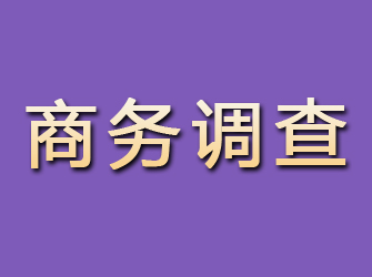 长宁区商务调查